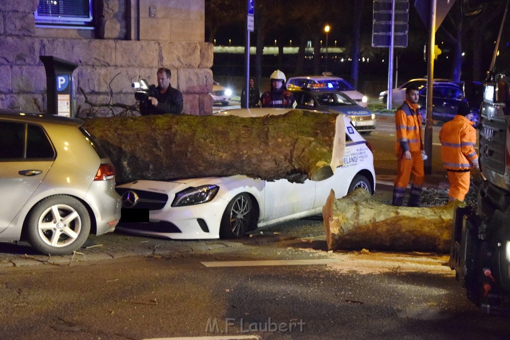 Baum auf PKWs Koeln Mitte Rheinuferstr Goldgasse P006.JPG - Miklos Laubert